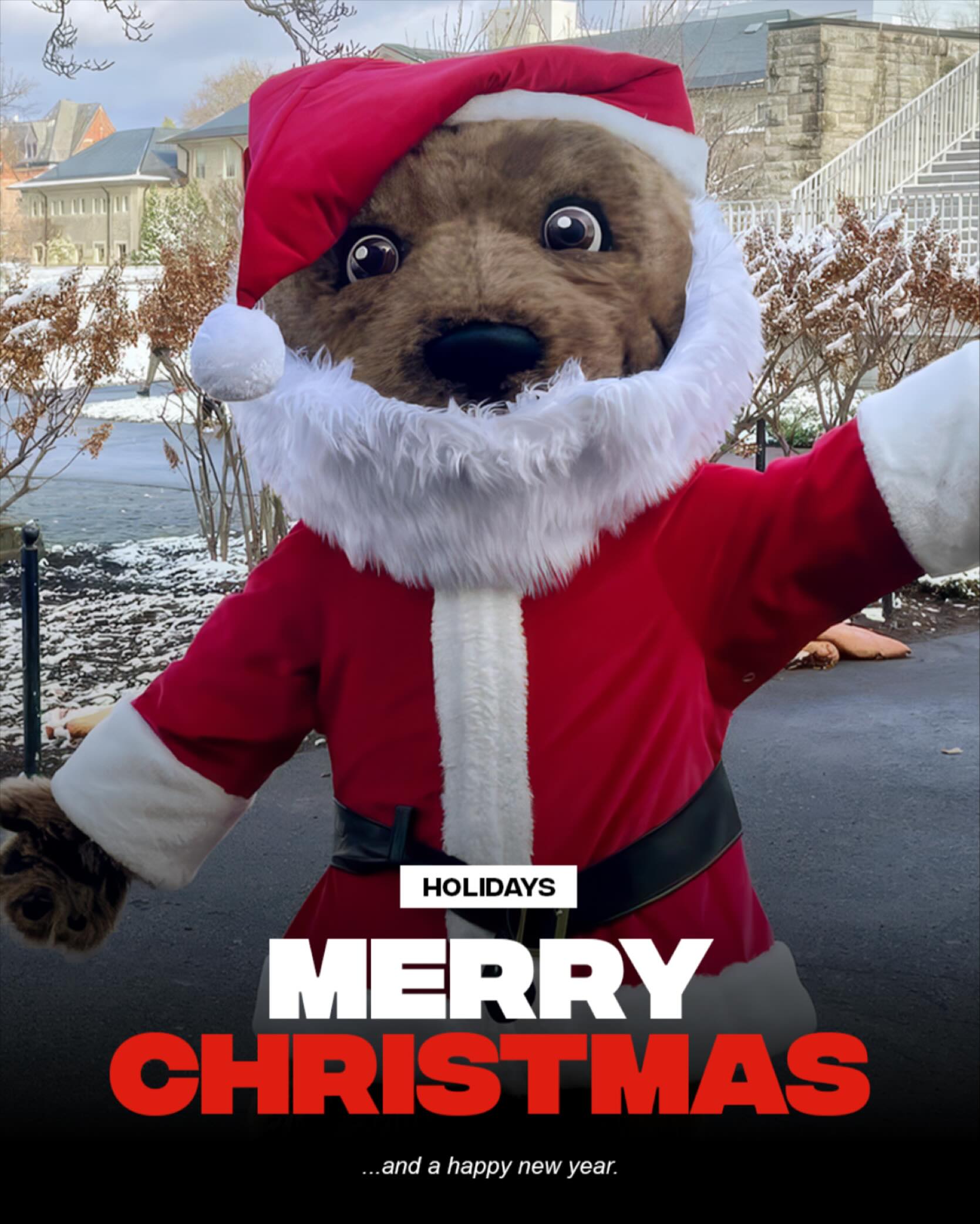 I’m proud of us for an amazing semester. Merry Christmas everyone!