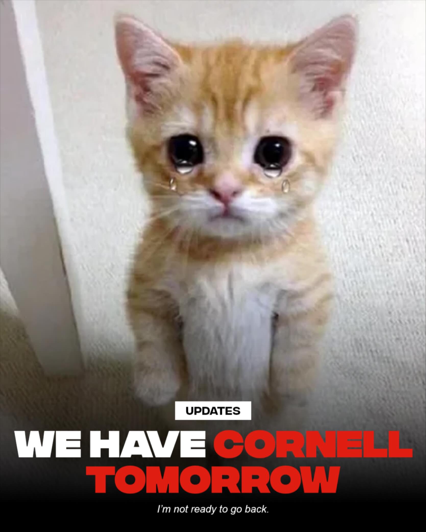 it’s too cold to go back, i’m not ready