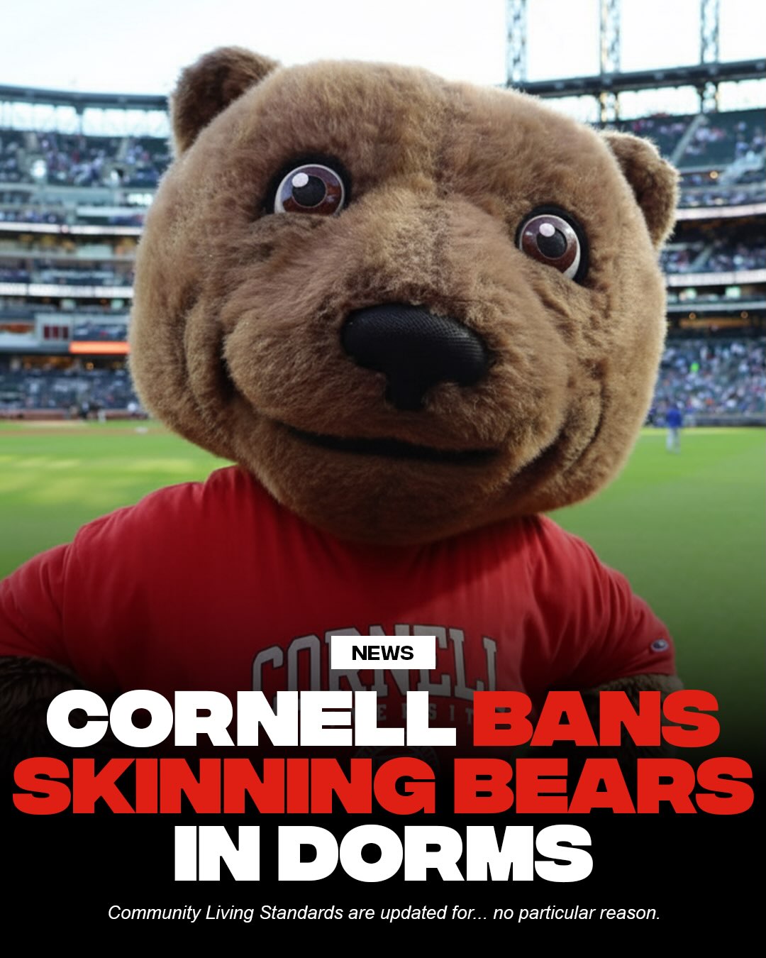 Via @cornellsun, Cornell has officially updated its Community Living Standards t